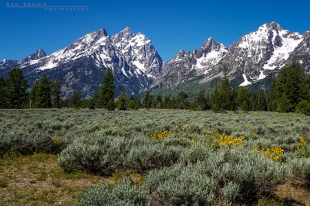 Grand Teton National Park