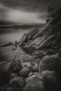 The Tree On The Rocks