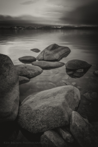 The Tree On The Rocks