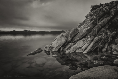 The Tree On The Rocks