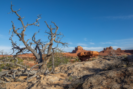 Canyonlands National Park, Utah
