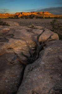 Canyonlands National Park, Utah