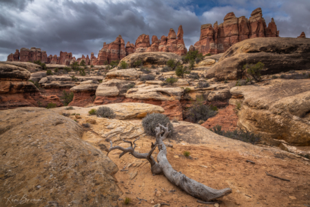 Canyonlands National Park, Utah