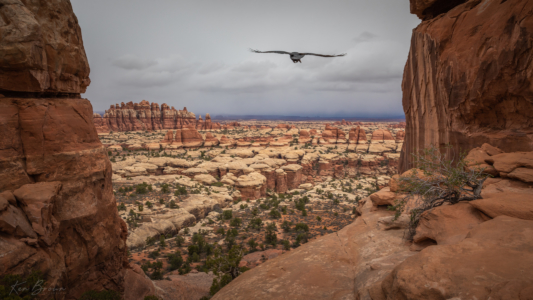 Canyonlands National Park, Utah