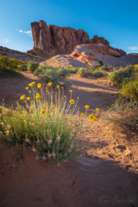 Valley Of Fire State Park, Nevada