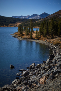 Yosemite National Park, California