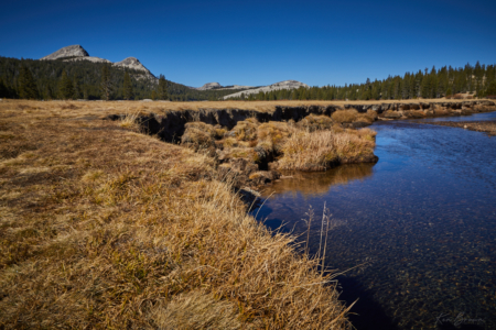 Yosemite National Park, California