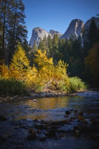 Yosemite National Park, California