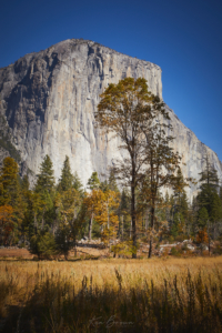 Yosemite National Park, California
