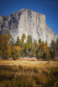 Yosemite National Park, California