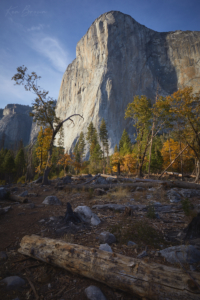 Yosemite National Park, California