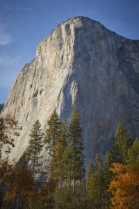 Yosemite National Park, California