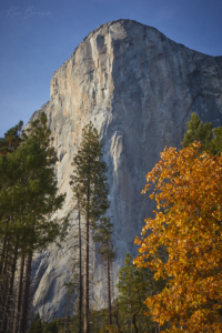 Yosemite National Park, California