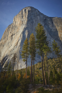 Yosemite National Park, California