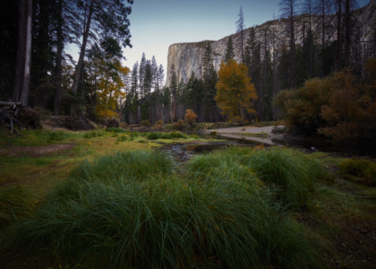 Yosemite National Park, California