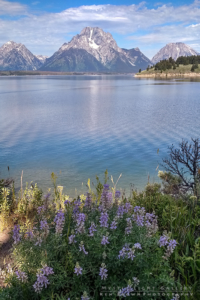 Grand Teton National Park
