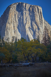Yosemite National Park, California