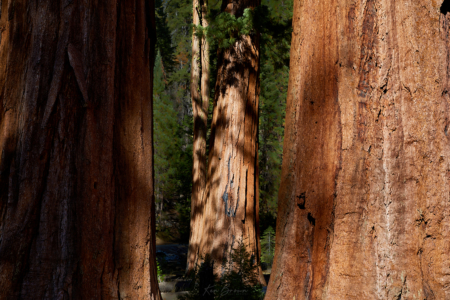 Yosemite National Park, California