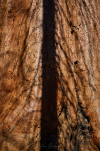 Yosemite National Park, California