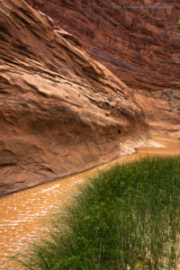 Coyote Gulch