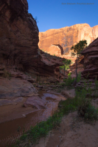 Coyote Gulch
