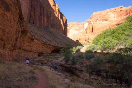Coyote Gulch