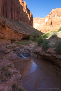Coyote Gulch