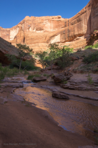 Coyote Gulch