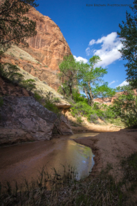 Coyote Gulch