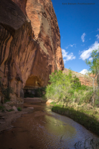 Coyote Gulch