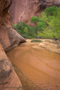 Coyote Gulch