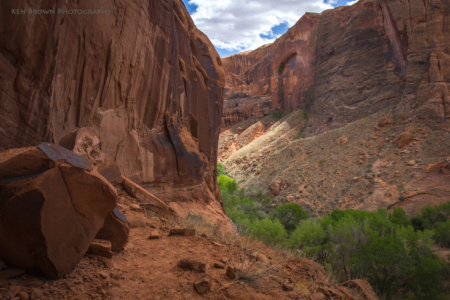 Coyote Gulch