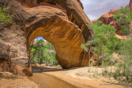Coyote Gulch