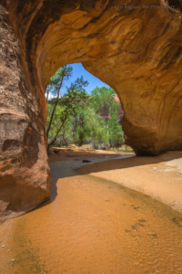 Coyote Gulch
