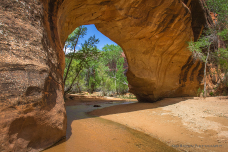 Coyote Gulch