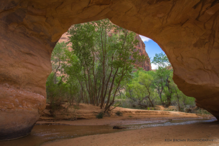Coyote Gulch