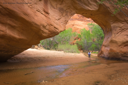 Coyote Gulch