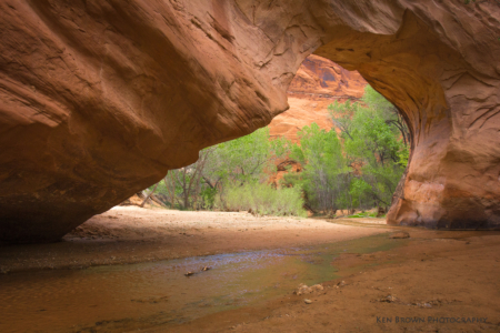 Coyote Gulch