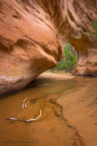 Coyote Gulch