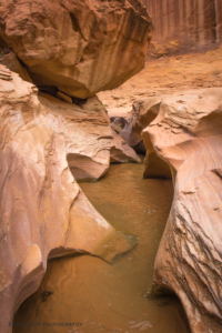 Coyote Gulch
