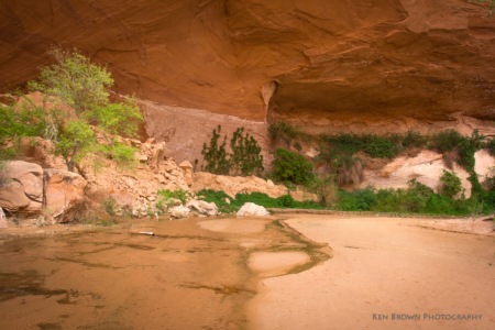 Coyote Gulch