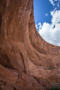 Coyote Gulch