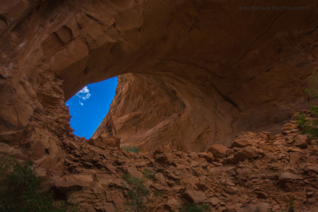 Coyote Gulch