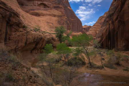Coyote Gulch