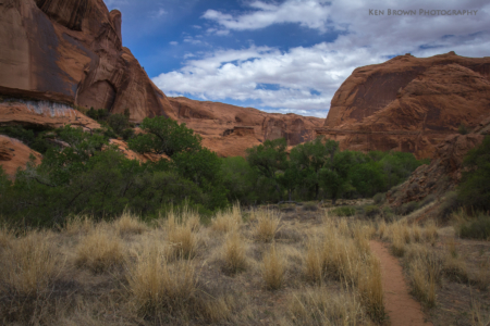 Coyote Gulch
