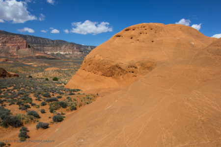 Coyote Gulch