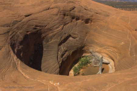 Coyote Gulch