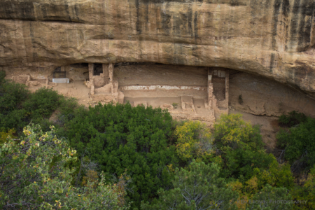 Mesa Verde