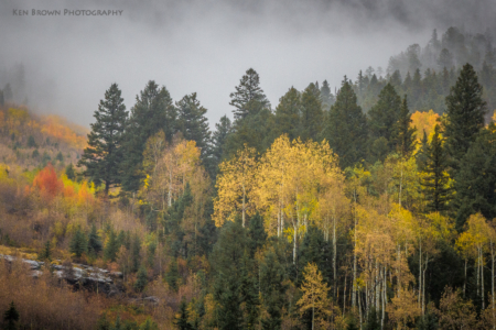 Durango & Silverton Narrow Guage Railroad