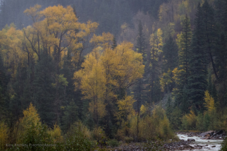 Durango & Silverton Narrow Guage Railroad